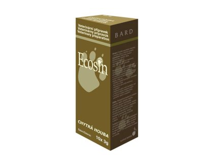 ECOSIN chytrá houba (10x3tbl)