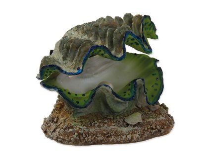 Akvarijní dekorace AQUA EXCELLENT škeble vzduchovací 12x10x5,5cm