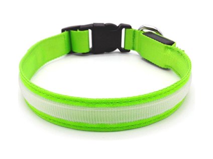 Svítící LED obojek BENTECH DC3100 (S) zelený