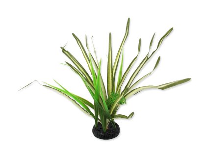 Terarijní rostlina REPTI PLANET Spartina travina 30cm