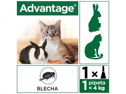 ADVANTAGE 40 pro malé kočky a králíky Spot-on 1x0,4ml