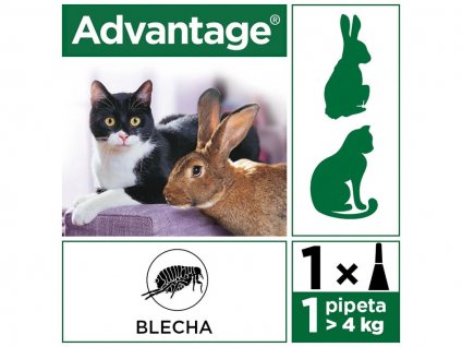 ADVANTAGE 80 pro velké kočky a králíky Spot-on 1x0,8ml