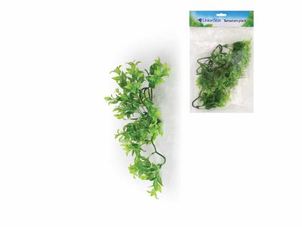 Terarijní rostlina UNIONSTAR Ficus (M) 30cm