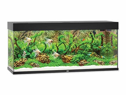 Akvarijní set JUWEL Rio LED 240 černý (240l) 121x41x55cm