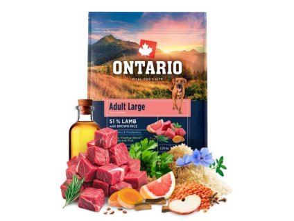 ONTARIO Adult Large Lamb & Brown Rice 2,25kg