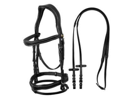 Uzdečka EQUESTRO anatomická s anglickým nánosníkem černá FULL