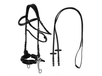 Uzdečka hackamore SUPREME černá COB