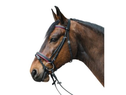 Uzdečka STAR Diamond s anglickým nánosníkem fuchsia PONY
