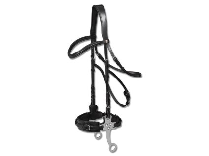 Hackamore uzdečka WALDHAUSEN X-Line černá COB