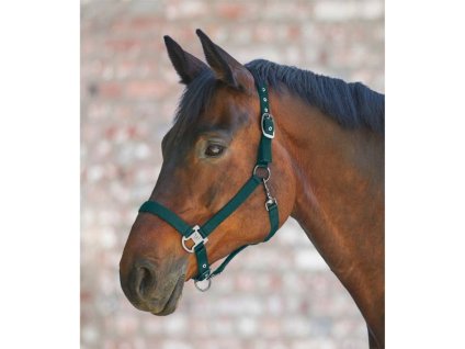 Ohlávka WALDHAUSEN Gloomy fir green PONY