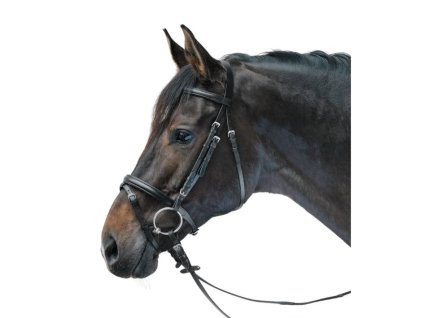 Uzdečka STAR Lifestyle s anglickým nánosníkem black/black MINISHETTY