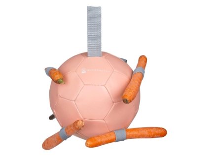 Míč pro koně WALDHAUSEN Carrot linea pink