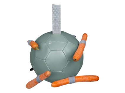 Míč pro koně WALDHAUSEN Carrot mistletoe