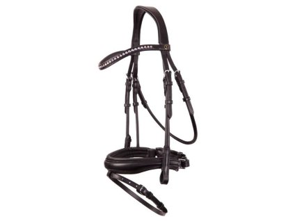 Uzdečka BR Southam se švédským nánosníkem black/silver COB