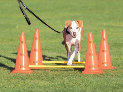 Agility TRIXIE Dog Activity překážky 30x50cm (2ks) + 100cm tyč