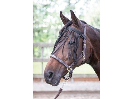 Třásně proti hmyzu HARRY'S HORSE černé PONY