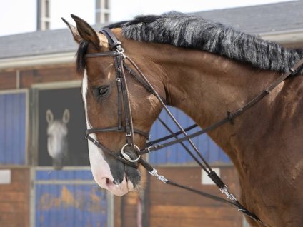 Gogue RIDING WORLD havana PONY