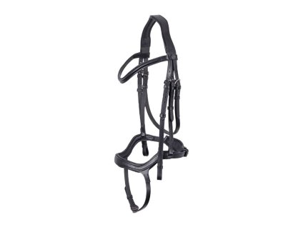 Uzdečka HARRY'S HORSE Anatomic s anatomickým nánosníkem černá COB