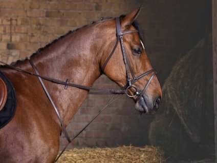 Pevný martingal RIDING WORLD havana (DOPRODEJ)