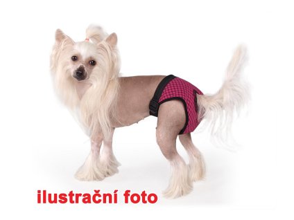 Hárací kalhotky TOMMI Fun Colours (XXL)