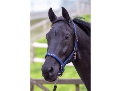 Ohlávka HARRY'S HORSE Bit modrá PONY