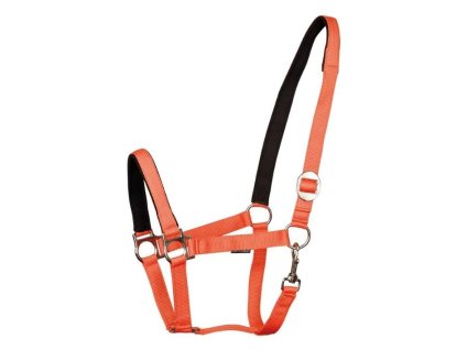 Ohlávka HARRY'S HORSE Padded oranžová XFULL