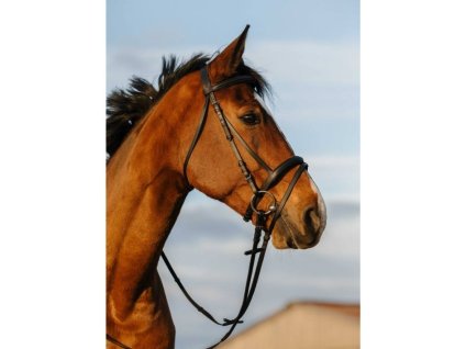Uzdečka RIDING WORLD s anglickým nánosníkem černá PONY