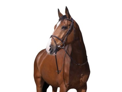 Uzdečka RIDING WORLD Murserolle Combinée s anglickým nánosníkem havana COB (DOPRODEJ)