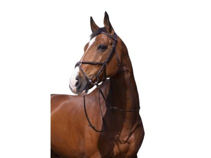 Uzdečka RIDING WORLD Muserolle Croisée s mexickým nánosníkem havana PONY