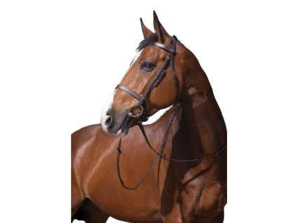 Uzdečka RIDING WORLD Murserolle Francaise s anglickým nánosníkem havana SHETTY