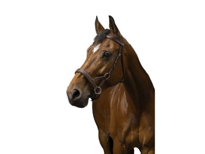 Sidepull NORTON PRO Confort havana COB