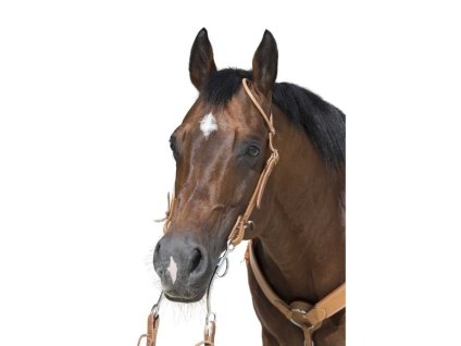 Westernová uzdečka WESTRIDE 1 Oreille chestnut FULL