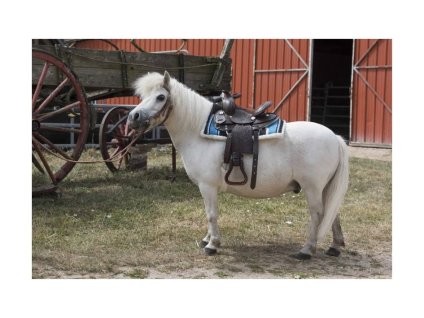 Westernová podsedlová deka WESTRIDE Quilted Navajo červená/černá/bílá PONY