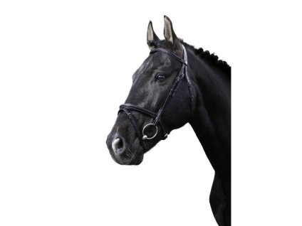 Uzdečka NORTON PRO Fin s anglickým nánosníkem černá PONY