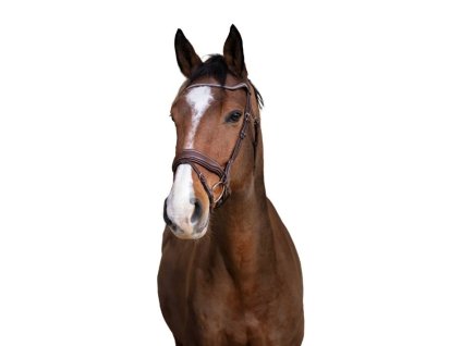 Uzdečka NORTON PRO Miss se švédským nánosníkem havana COB