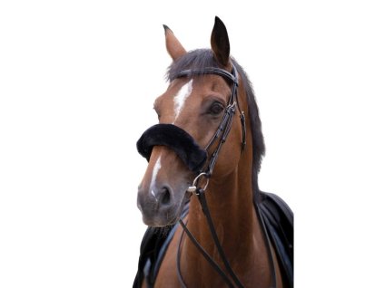 Beránek na nánosník EQUITHEME Teddy černý FULL