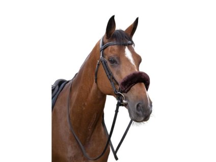 Beránek na nánosník EQUITHEME Teddy hnědý FULL