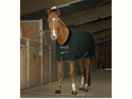Odpocovací deka EQUITHEME Teddy zelená/hnědá 165cm