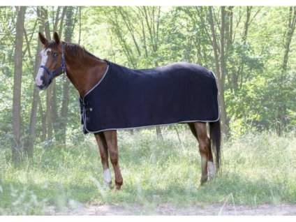 Odpocovací deka RIDING WORLD Polar černá/šedá 150cm