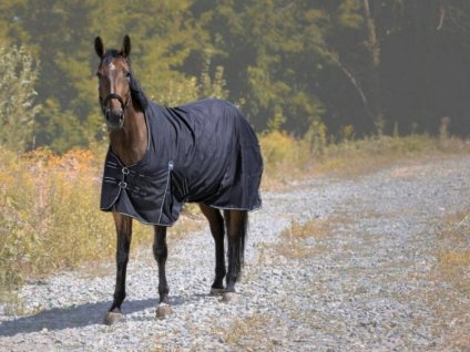 Výběhová deka RIDING WORLD Oxford 220g černá 165cm