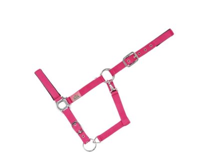 Ohlávka USG Everyday fuchsia COB