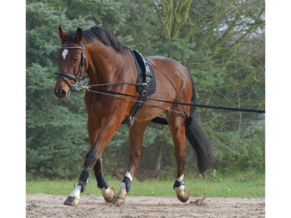 Lonžovací postroj WALDHAUSEN black PONY/COB
