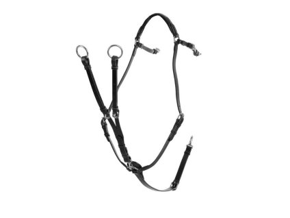 Poprsník ACAVALLO Tree-Point black COB