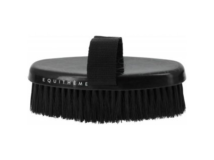 Kartáč EQUITHEME Studies černý