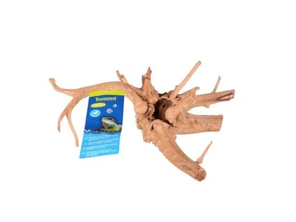Kořen TOMMI Azalea Root (S) 20-30cm