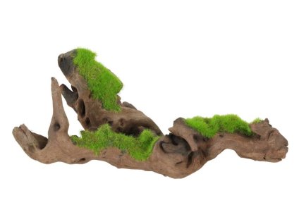 Akvarijní dekorace ZOLUX - Kipouss přírodní Malaysia kořen s pravými semeny glossostigma (S) 11x17,5x11cm