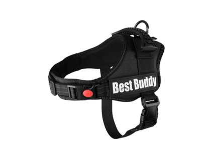 Postroj FLAMINGO Best Buddy Pluto černý (L) 5x70-90cm