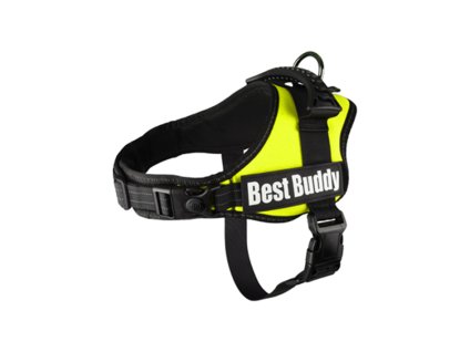 Postroj FLAMINGO Best Buddy Pluto neonový (L) 5x70-90cm