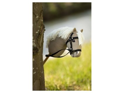 BR Mini Hobby Horse "Goldy"
