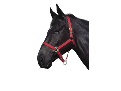 Ohlávka RIDING WORLD červená COB (DOPRODEJ)